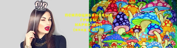 синтетический гашиш Армянск