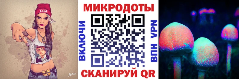 blacksprut ТОР где купить наркотик Галич Псилоцибиновые грибы GOLDEN TEACHER
